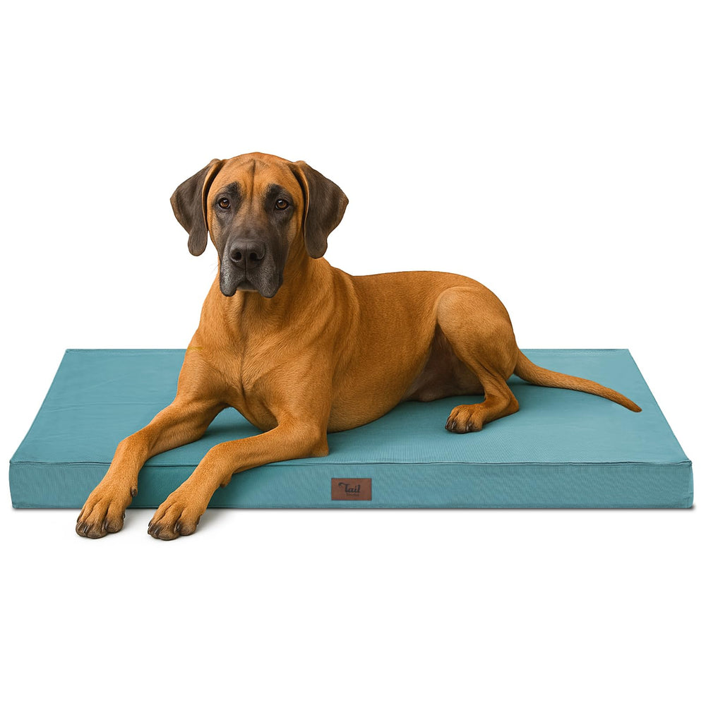 Tail Stories Outdoor Extra Large Dog Bed with closed cover for easy transport and quick cleaning.