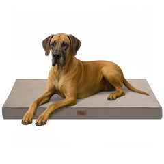 Tail Stories outdoor extra large dog bed hero shot for spacious comfort outdoors