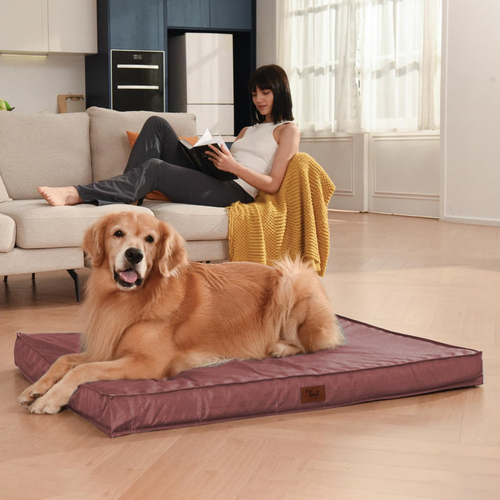 Tail Stories bed demonstrates simple wipe-clean process and machine-washable care for busy owners.