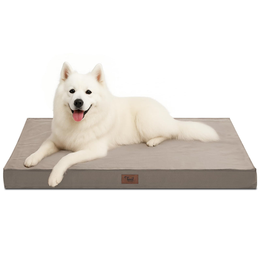 Tail Stories outdoor large washable dog bed ready for outdoor comfort and easy-clean convenience.