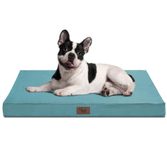 Tail Stories outdoor orthopedic dog bed 30x20 light blue supports joints on outdoor adventures.