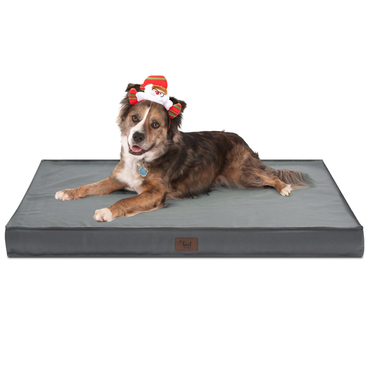 Tail Stories outdoor orthopedic dog bed foam close-up showing joint-supportive egg-crate foam