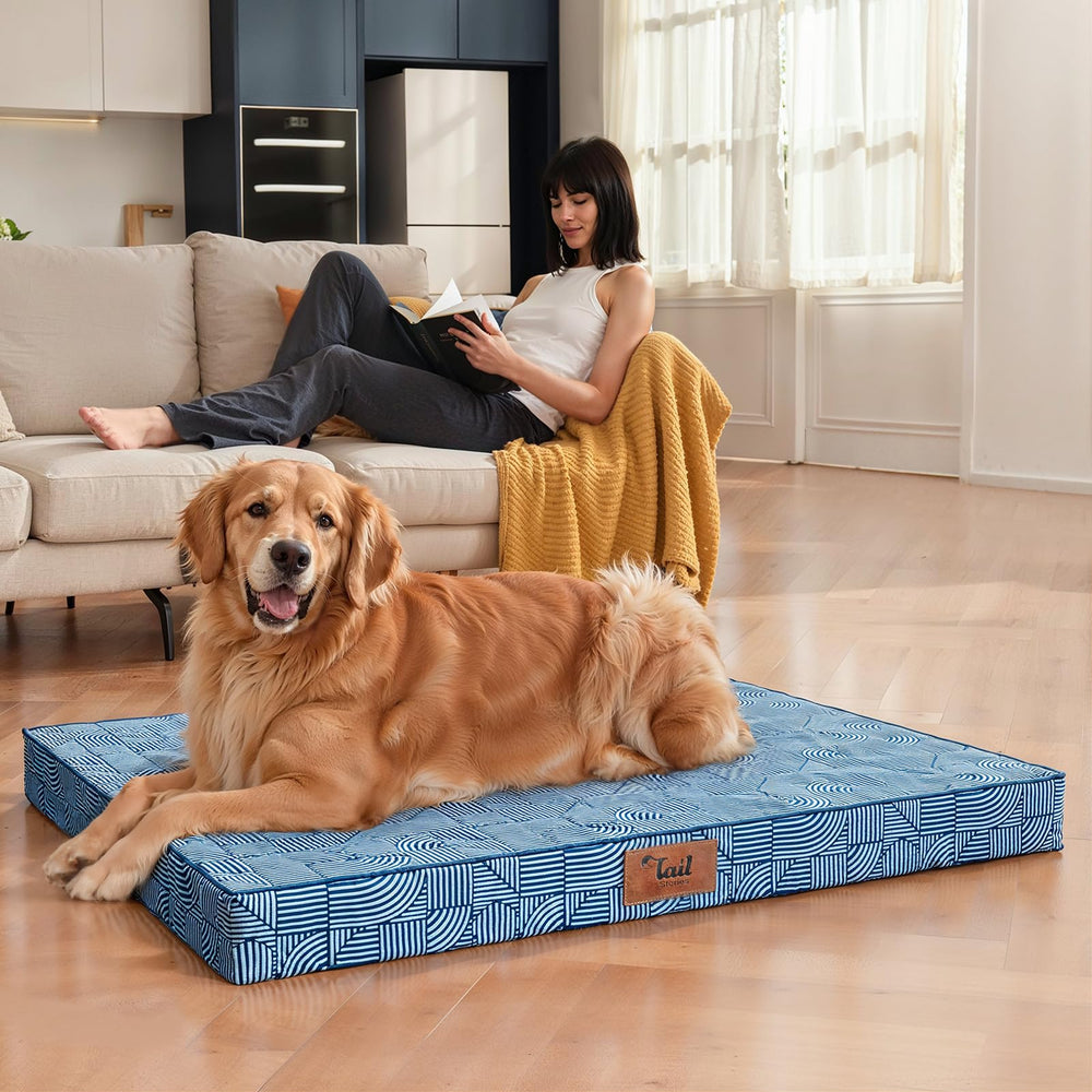 Tail Stories side handle enables easy transport during camping trips.