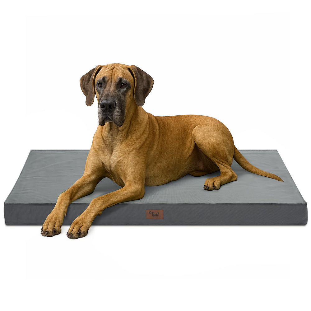 tail stories outdoor xl dog bed front view for large dogs' roomy comfort