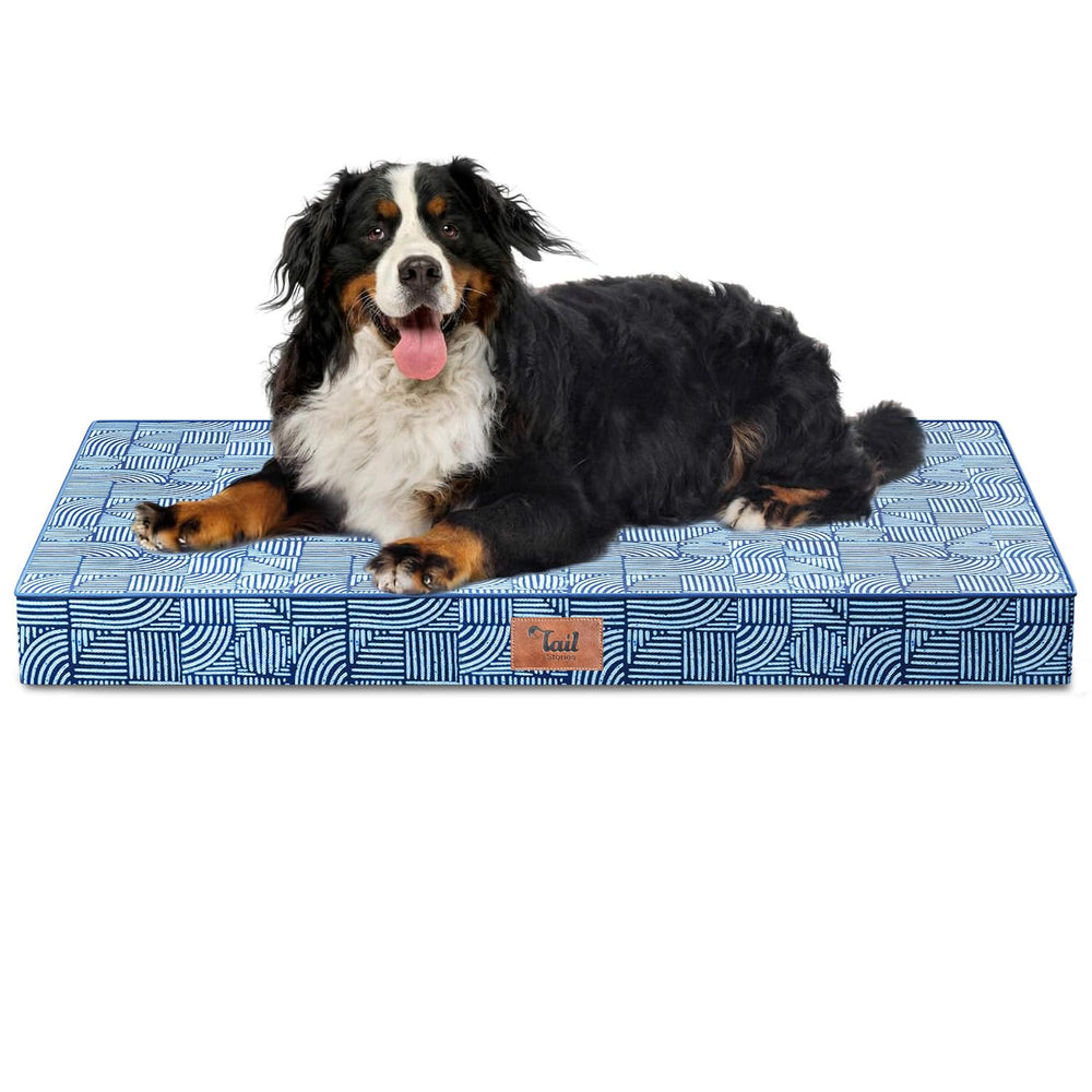 Tail Stories outdoor XXL dog crate bed with orthopedic egg-crate foam for joints.