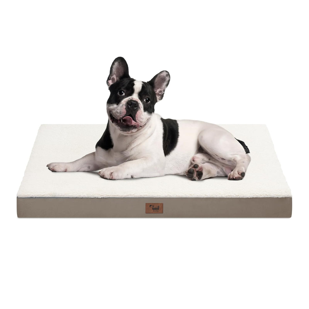 Tail Stories plush orthopedic dog bed with sherpa side for warm, cozy naps