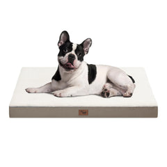 Tail Stories plush orthopedic dog bed with sherpa side for warm, cozy naps