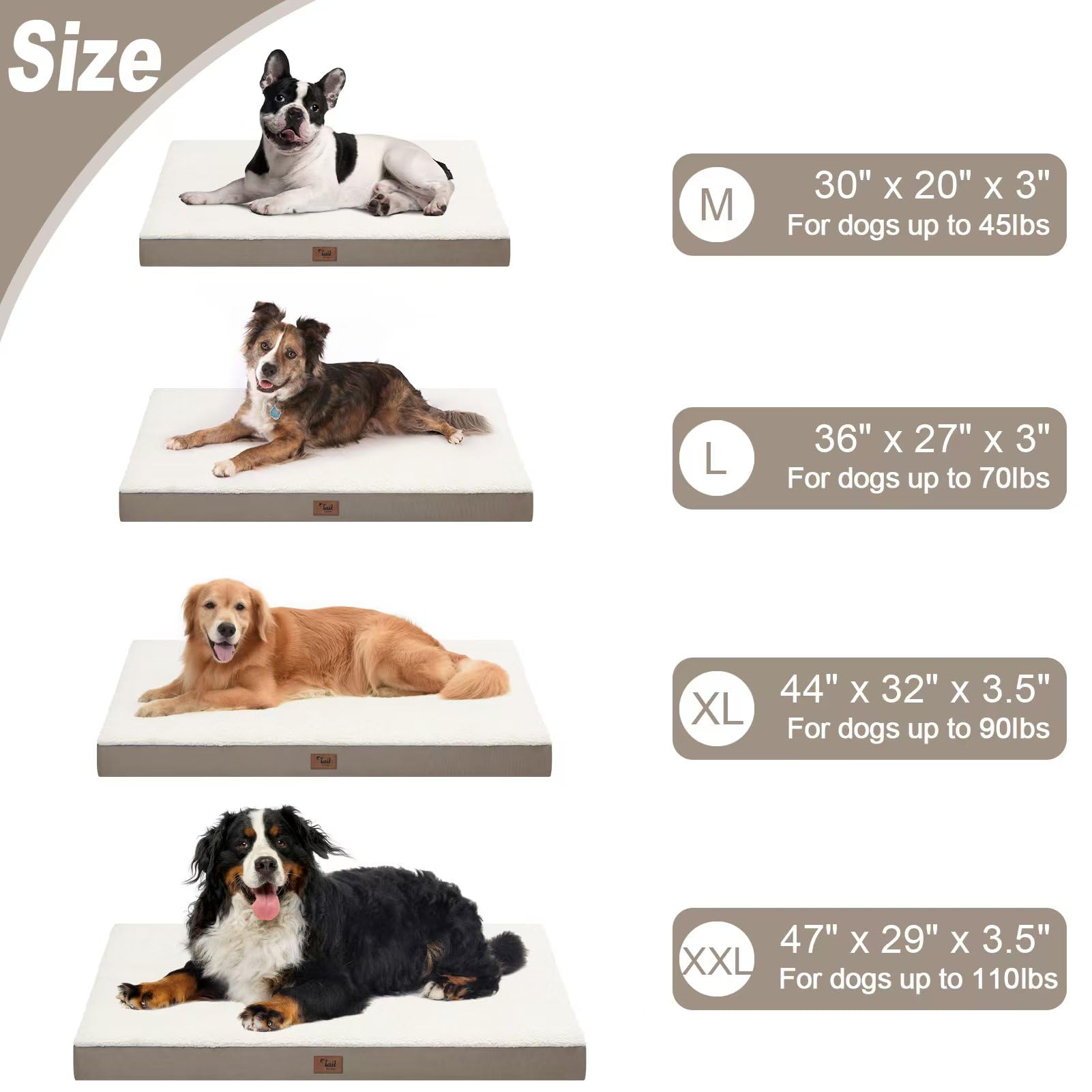 Tail Stories side handle aids portability for indoor and outdoor use