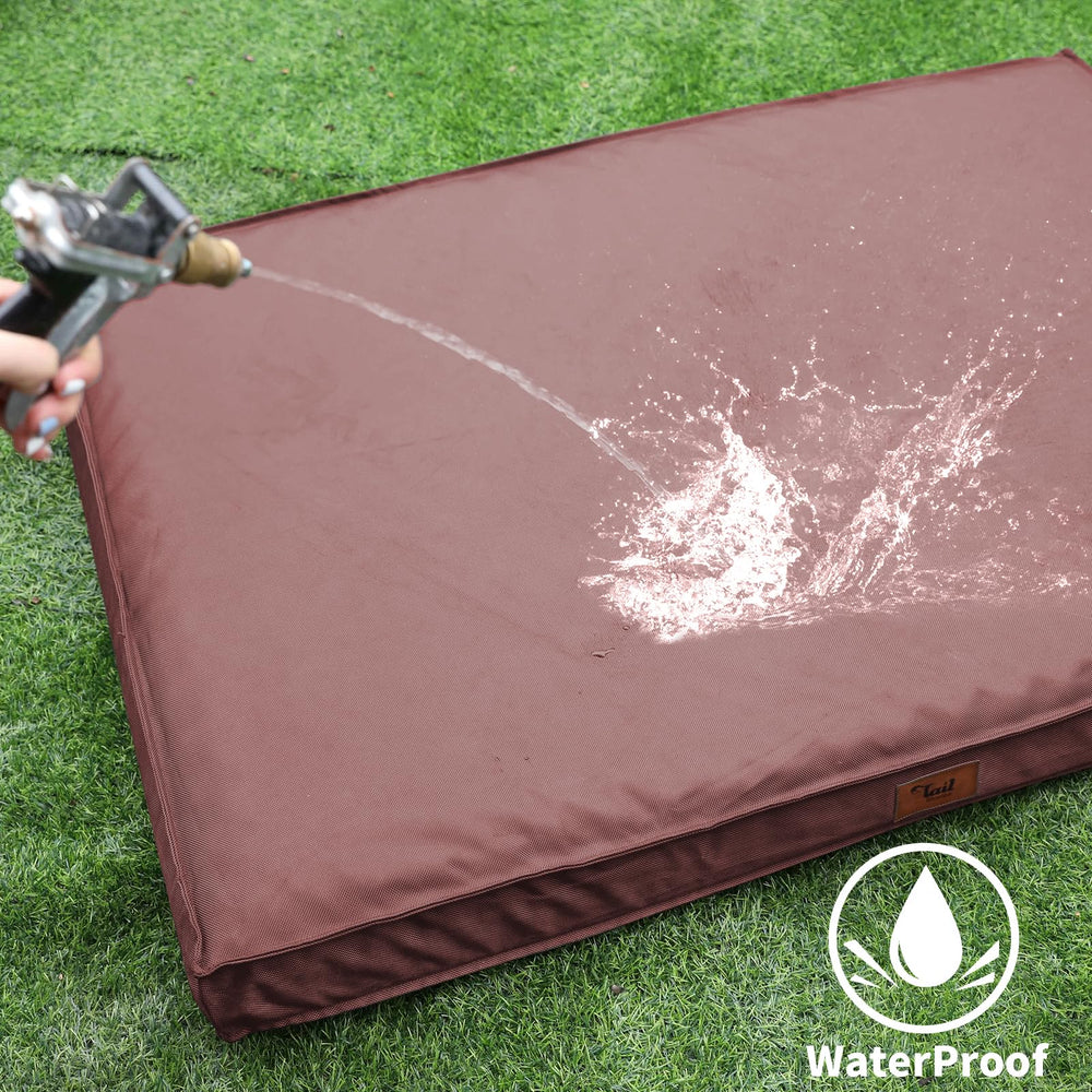 Tail Stories removable cover highlights easy cleaning after outdoor play.