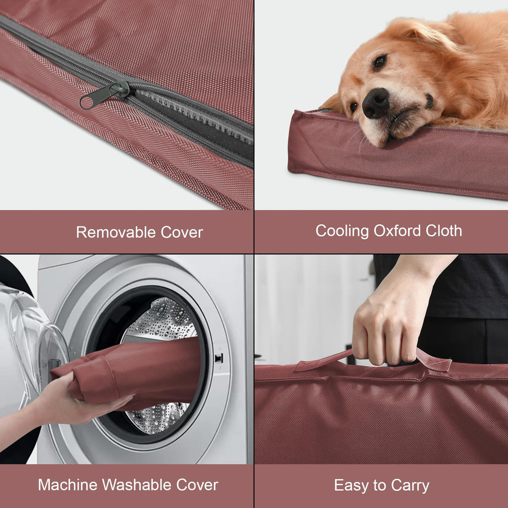 Tail Stories side handle enables easy transport during outdoor trips