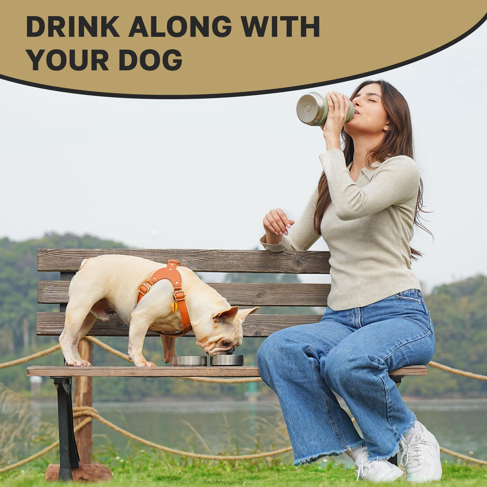 Tail Wagging Love on-the-go setup with pet, enjoying snack bonding.