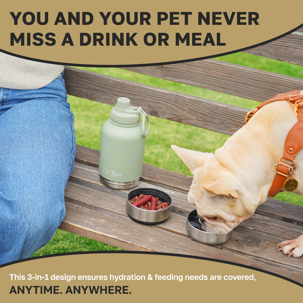Tail Wagging Love two detachable bowls, separate portions for you and your pet.
