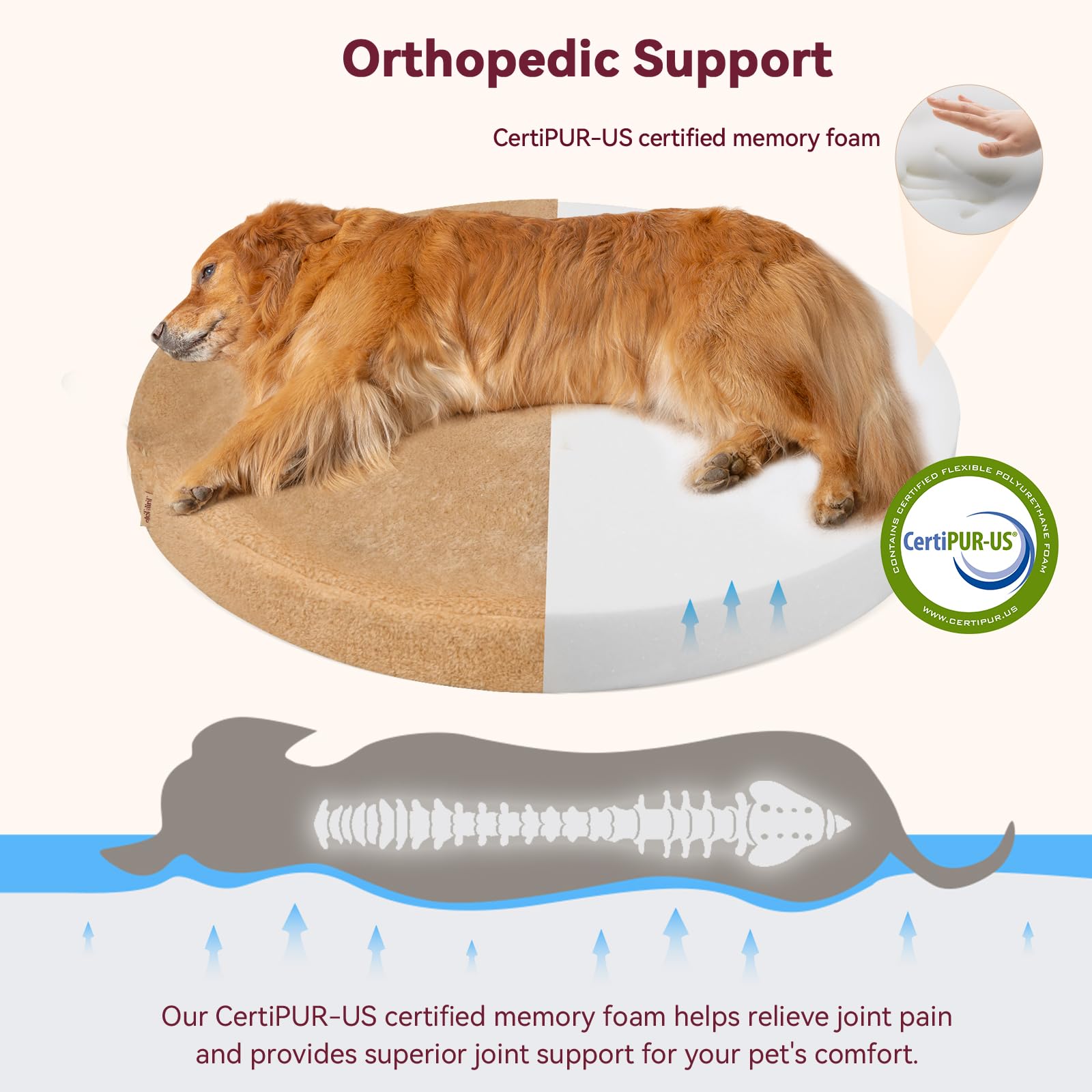 Tail&Tale orthopedic memory foam base detail emphasizing joint support for medium dogs