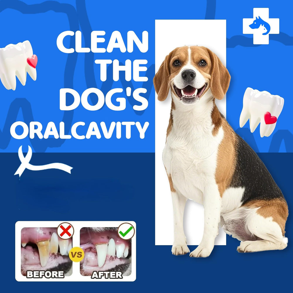 TailParty Turkey Tendons single-source protein chew supports simple, digestion-friendly snacks