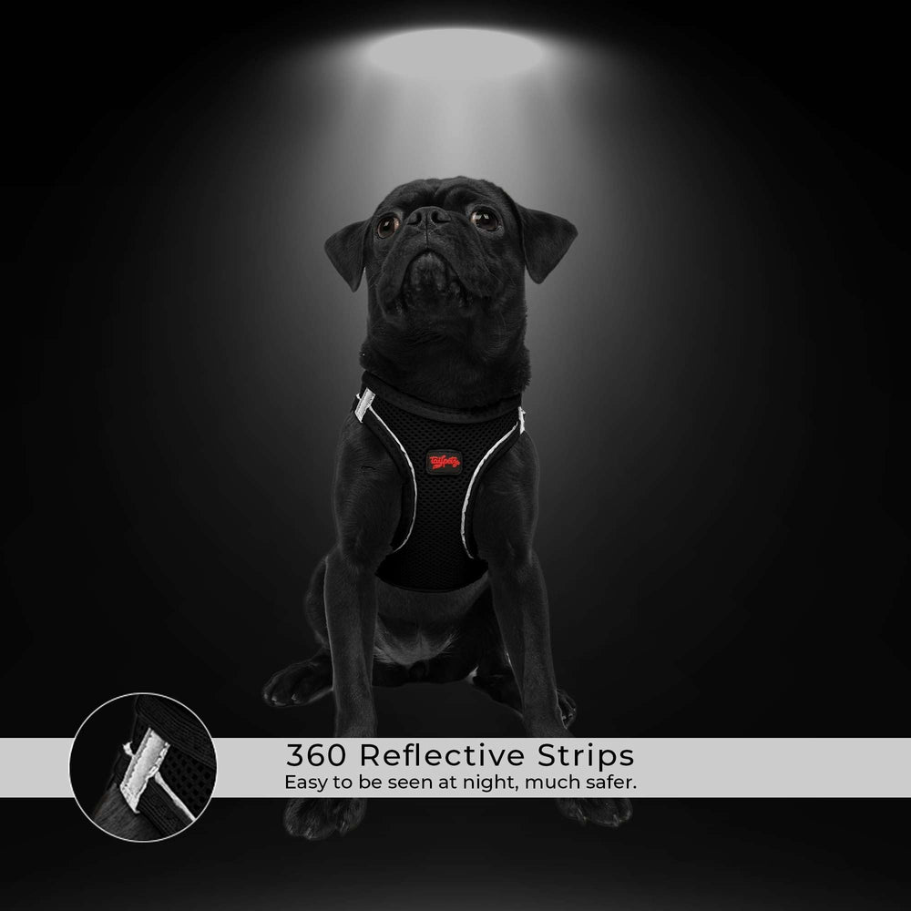 Tailpetz dog harness velcro double D-rings offer secure leash attachment.