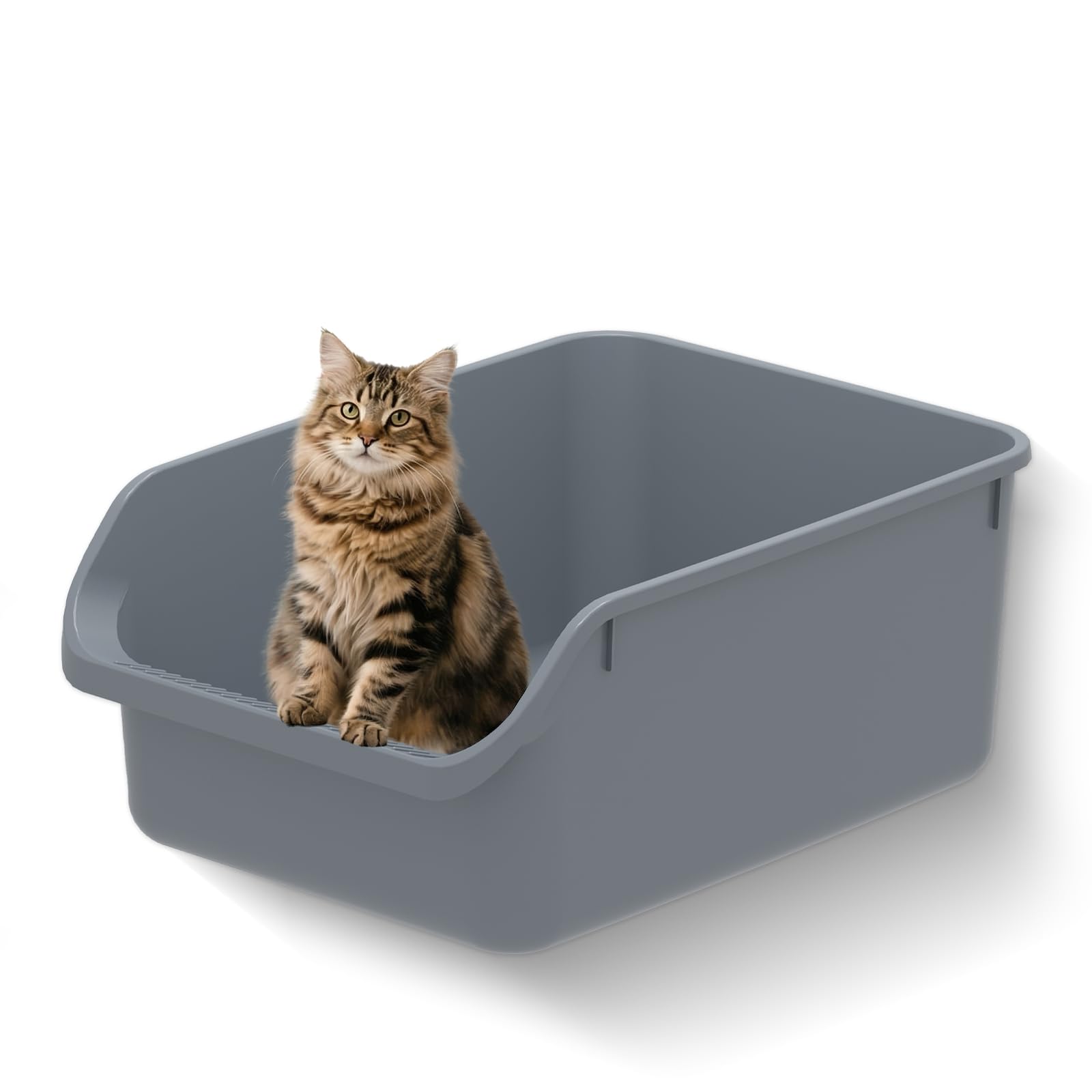 Tailryth large cat litter box low-entry front view supports easy access for kittens and seniors.