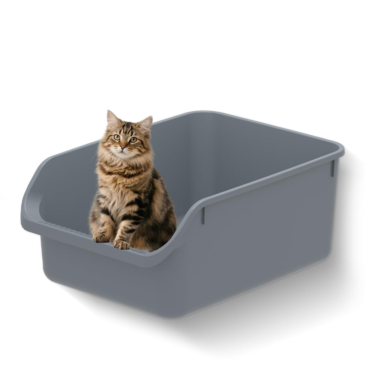 Tailryth large cat litter box low-entry front view supports easy access for kittens and seniors.