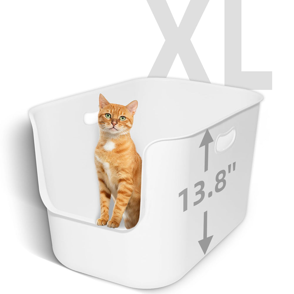 TAILRYTH XL litter box front view highlights spacious interior and anti-splash design for big cats.