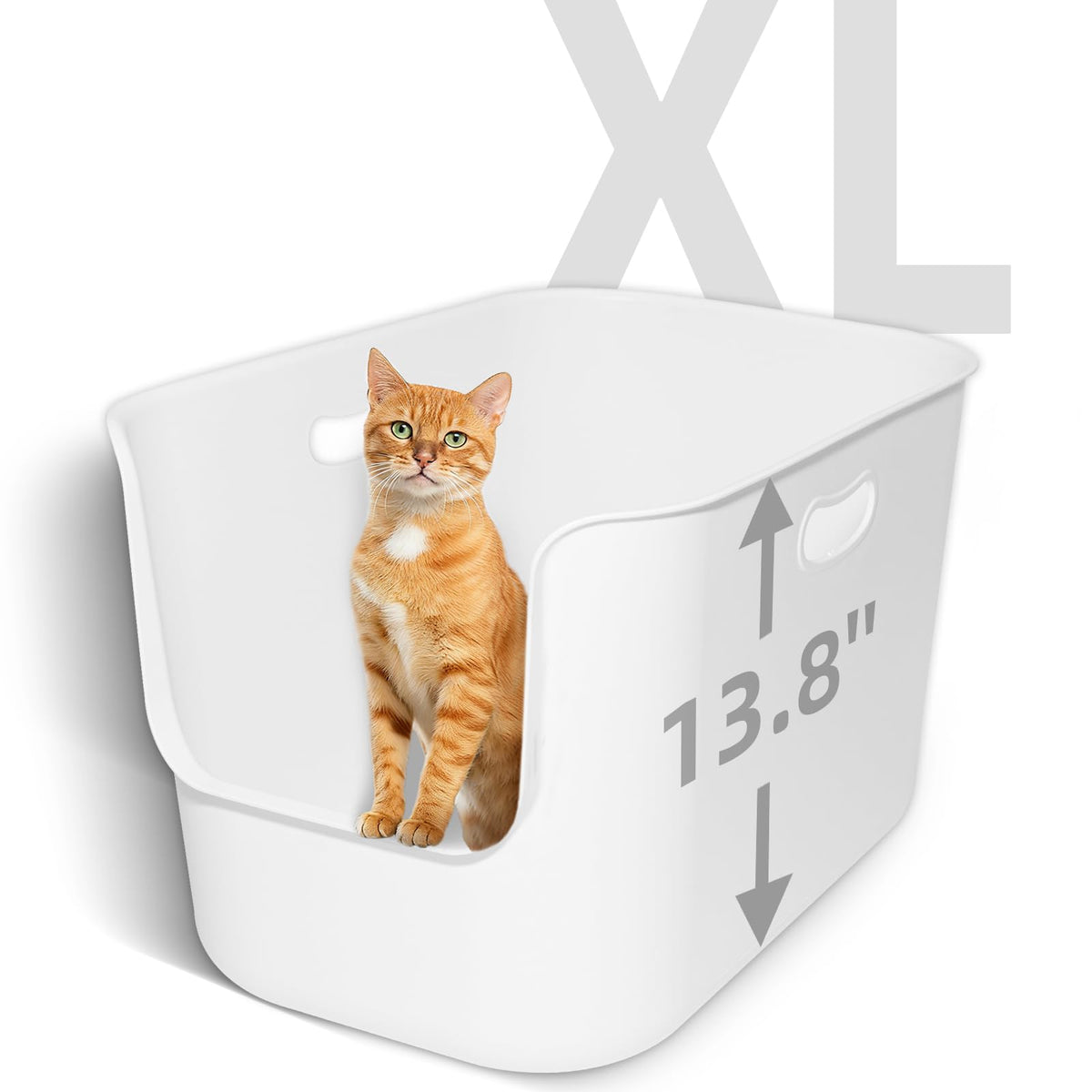 TAILRYTH XL litter box front view highlights spacious interior and anti-splash design for big cats.
