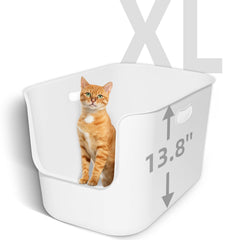 TAILRYTH XL litter box front view highlights spacious interior and anti-splash design for big cats.
