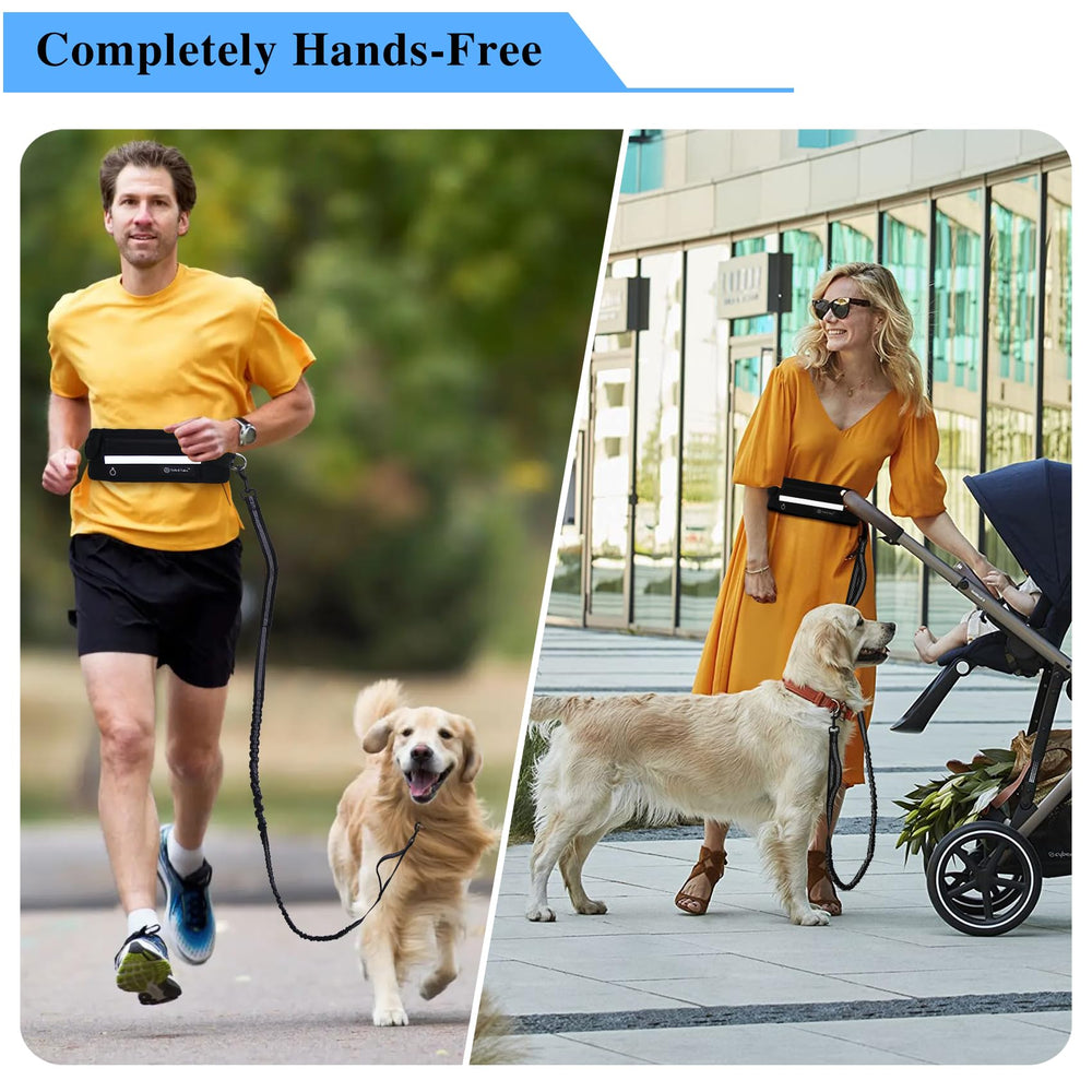 Tails & Tales 100lb-capacity leash shown in sturdy nylon