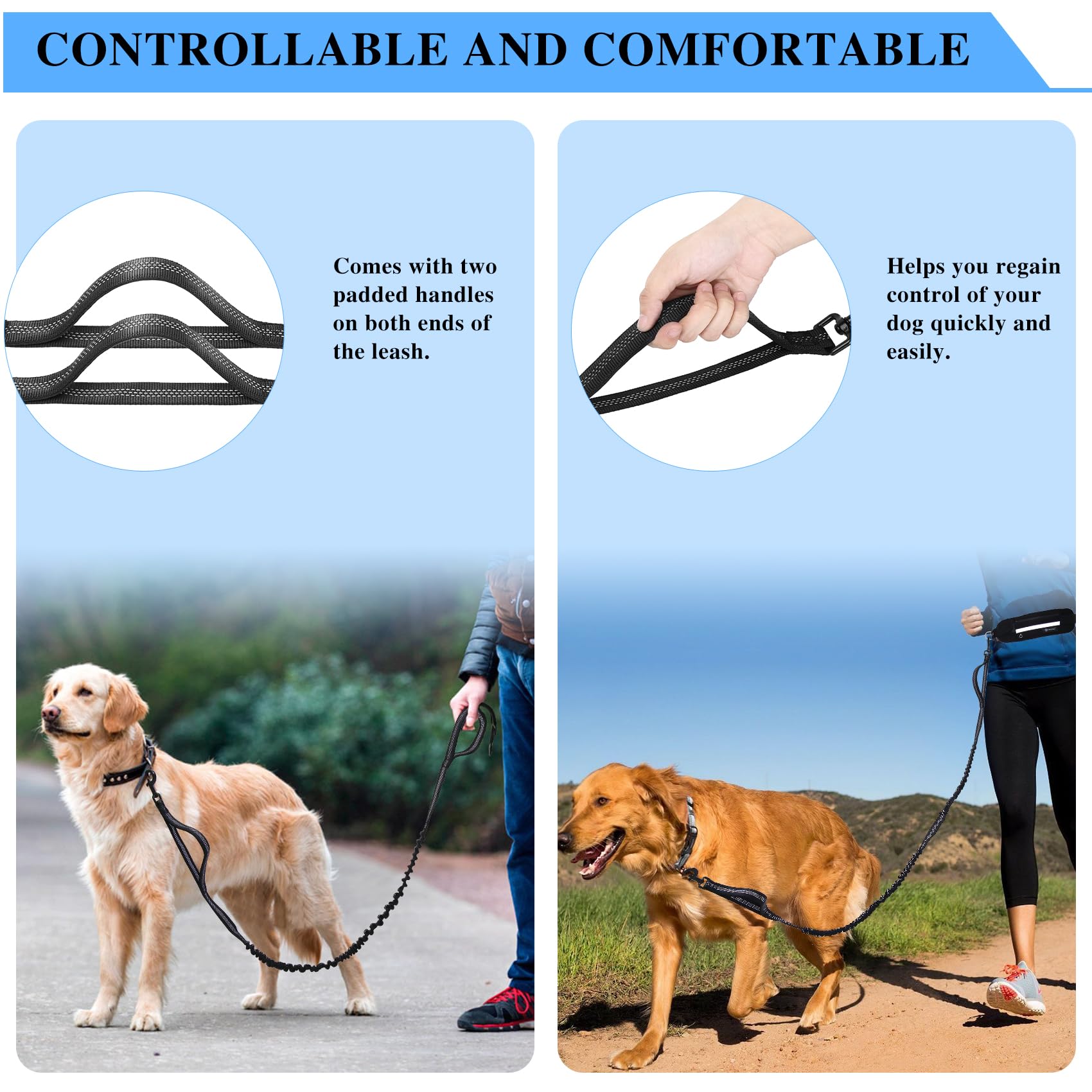 Tails & Tales movable D-ring enables flexible leash setup during activities