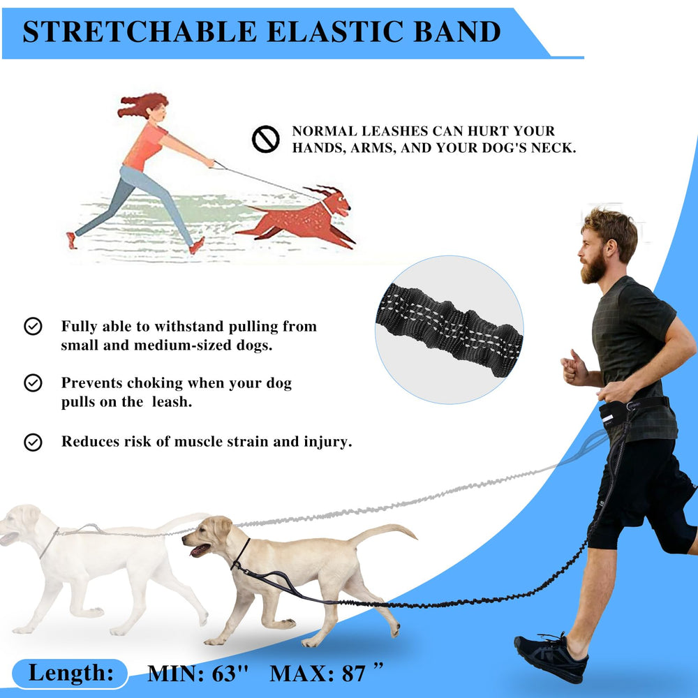 Tails & Tales reflective bungee improves visibility during evening workouts