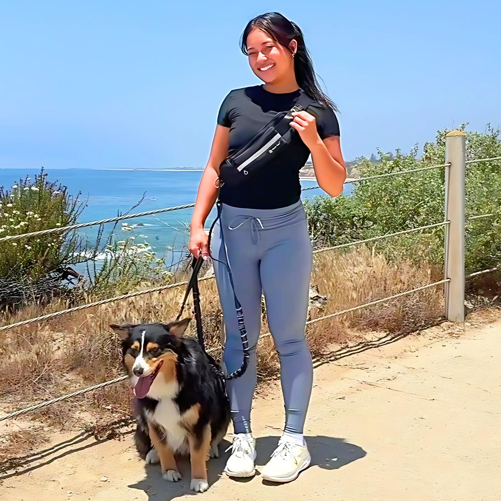 Tails & Tales zipper pouch attachment for carrying essentials during walks