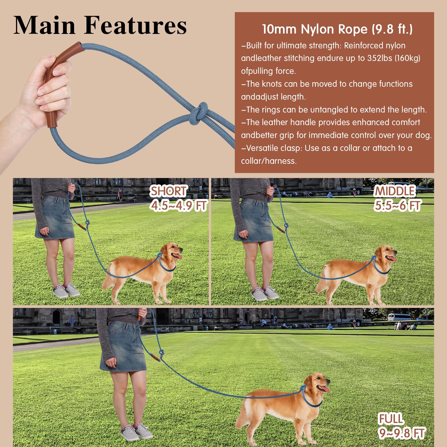 tails-tales-double-dog-leash demonstrates walking two dogs with reduced tangling