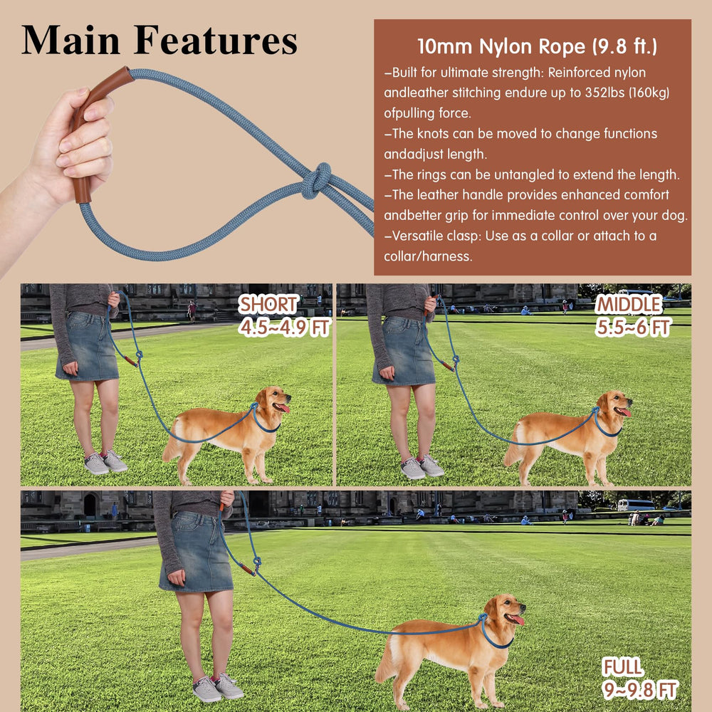 tails-tales-double-dog-leash demonstrates walking two dogs with reduced tangling