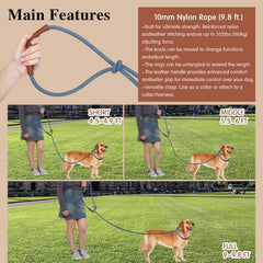 tails-tales-double-dog-leash demonstrates walking two dogs with reduced tangling