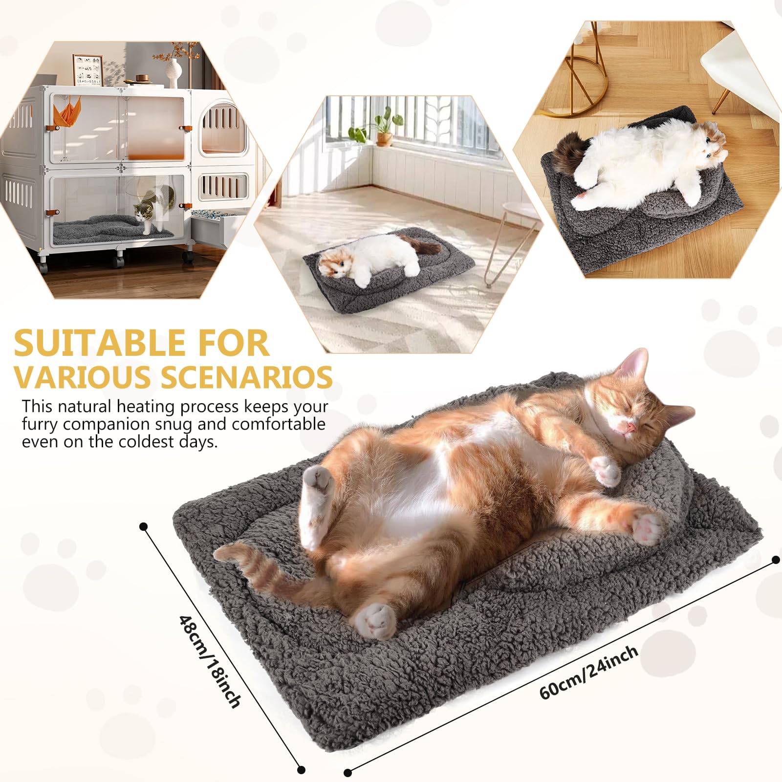 TailTastic indoor-cat lounge fits sofas, crates, and sunny windowsills