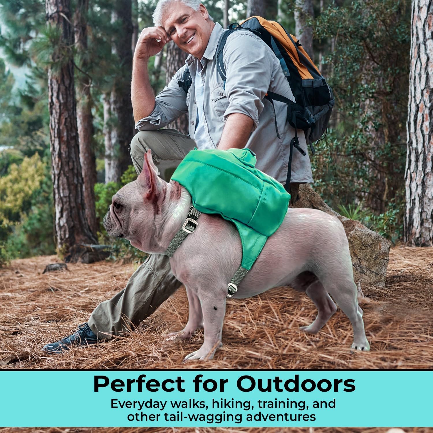 TAILTOTE dual D-rings provide front and back leash options for control.