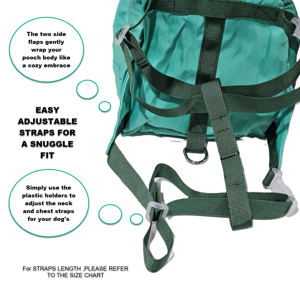 TAILTOTE hidden poop bag holder keeps walks tidy during adventures.