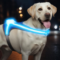 Tailuxe Light Up Dog Harness shows 360° visibility for safer night walks.