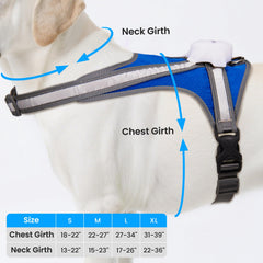Tailuxe IPX4 waterproof harness keeps dogs dry during light rain.