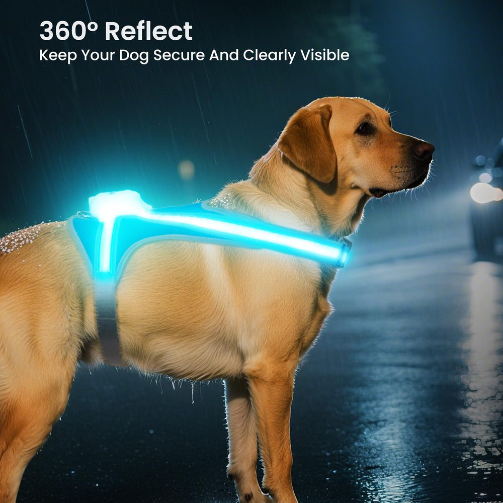 Tailuxe LED strips provide bright color options for visibility and style.