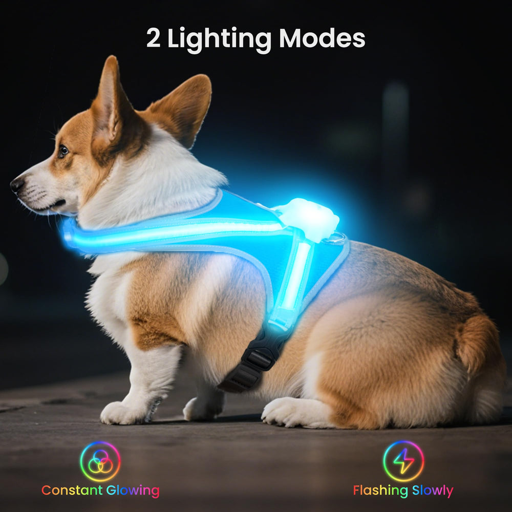 Tailuxe quick-release buckle lets dogs wear in seconds.