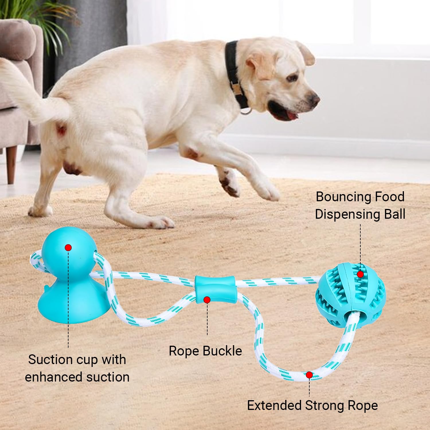 Tailwag dog toy with treat-dispensing ball supports enrichment and training