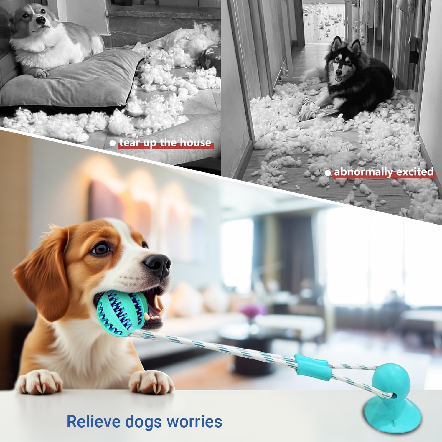 Tailwag puppy rope enrichment for interactive bonding and boredom relief
