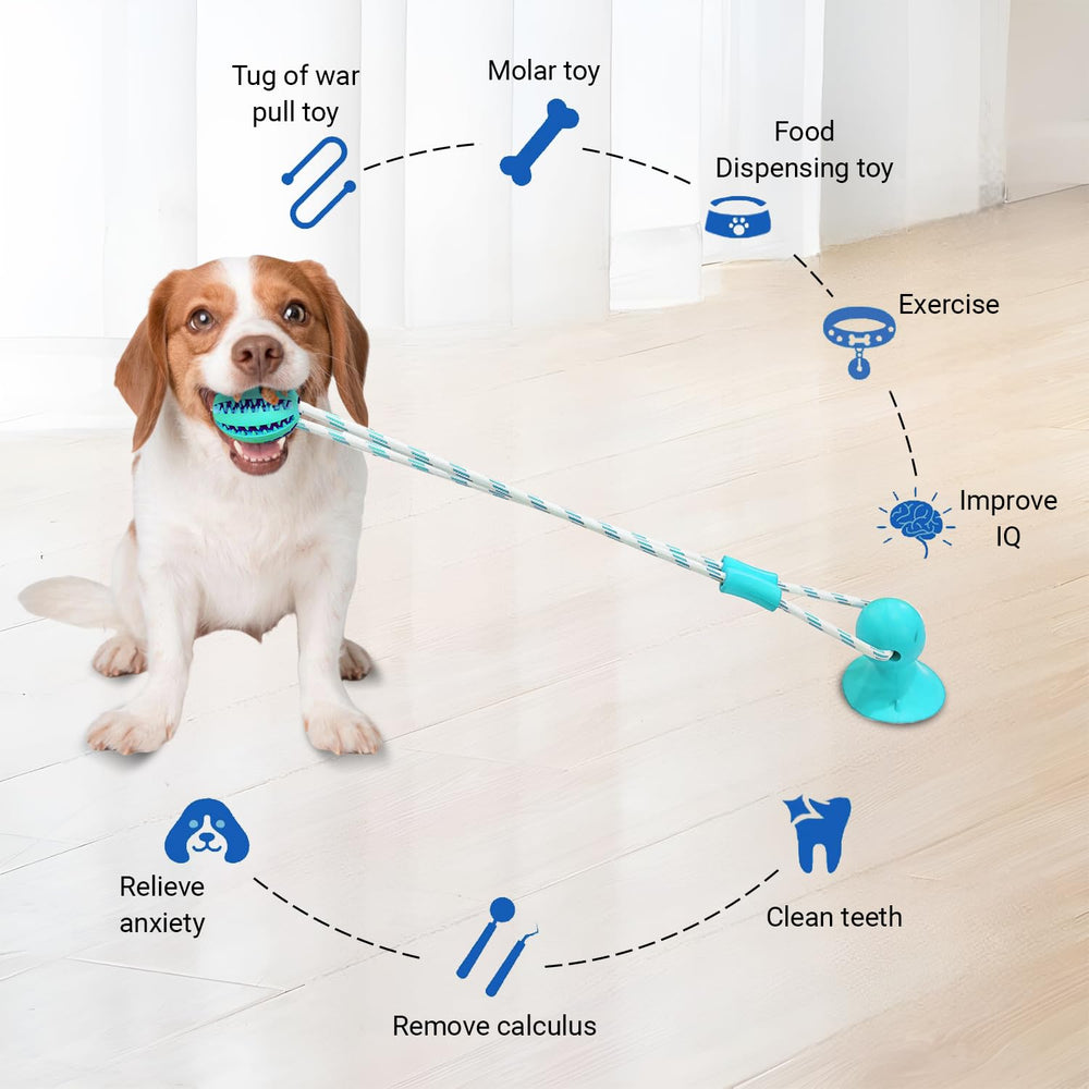Tailwag tug suction cup toy for wall-mounted interactive play and solo tug sessions
