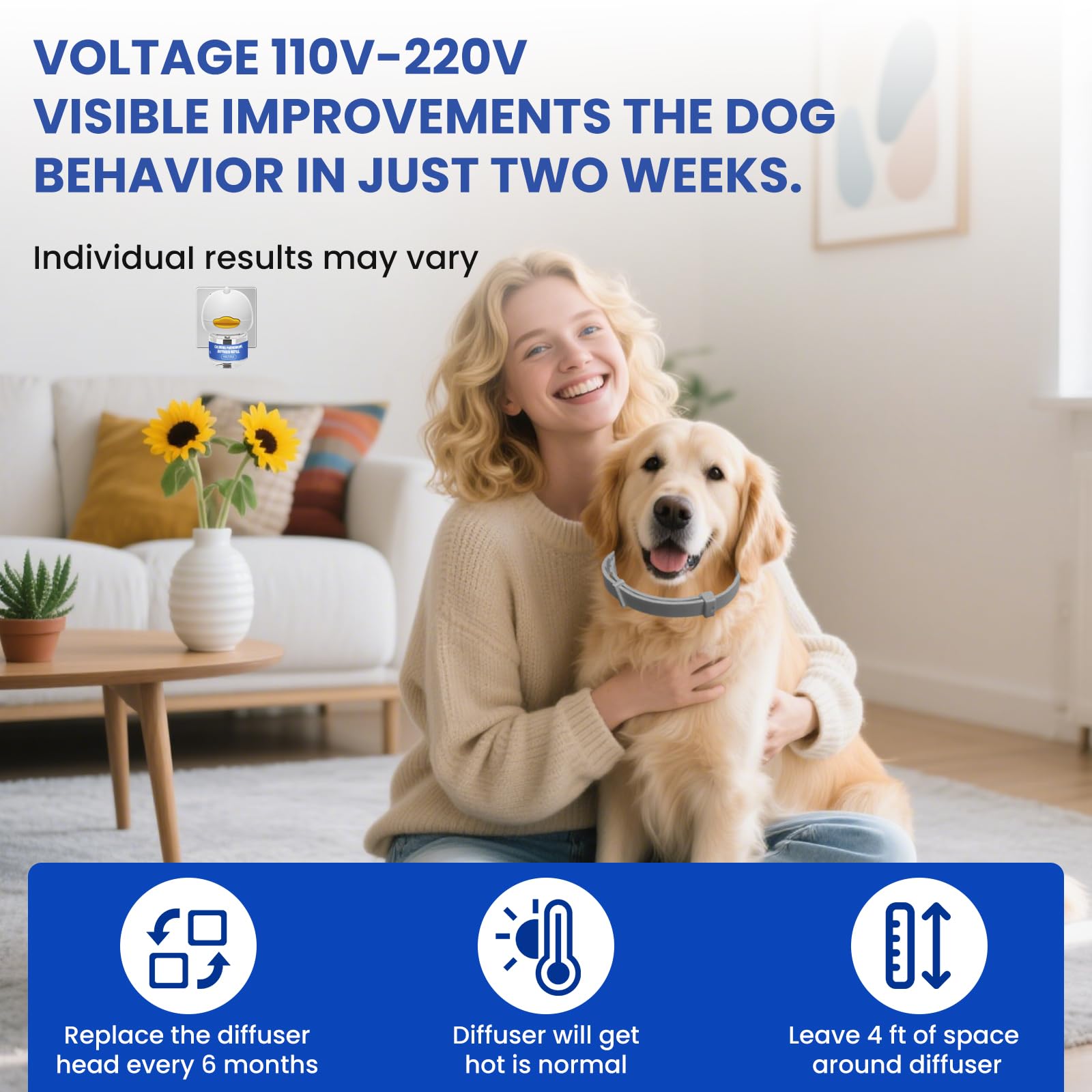 Tailwagpet dog relaxed in room after diffuser release