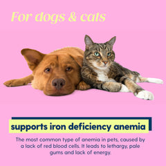 Taily AminoPets liquid iron on cat or kitten with gentle support