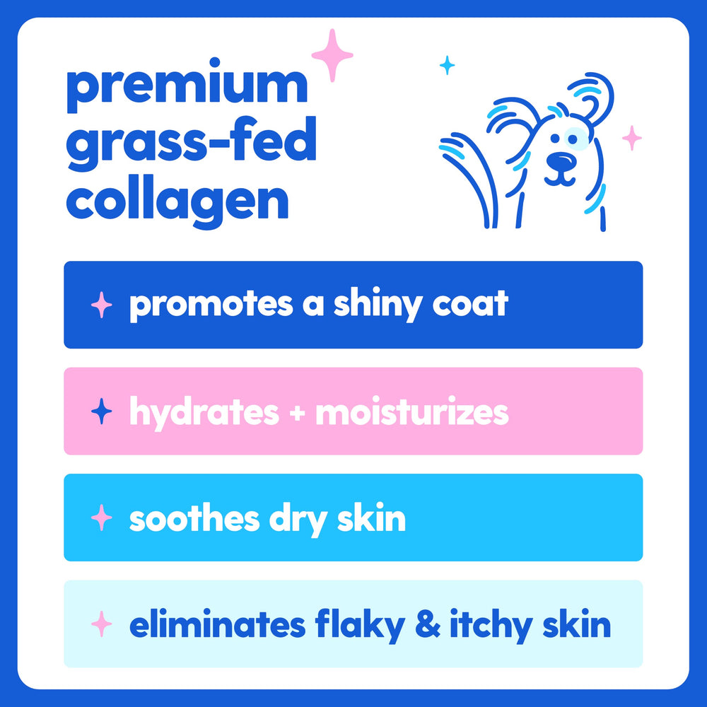 Taily Collagen dog daily-dose showing easy mealtime integration
