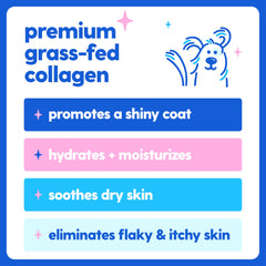 Taily Collagen dog daily-dose showing easy mealtime integration
