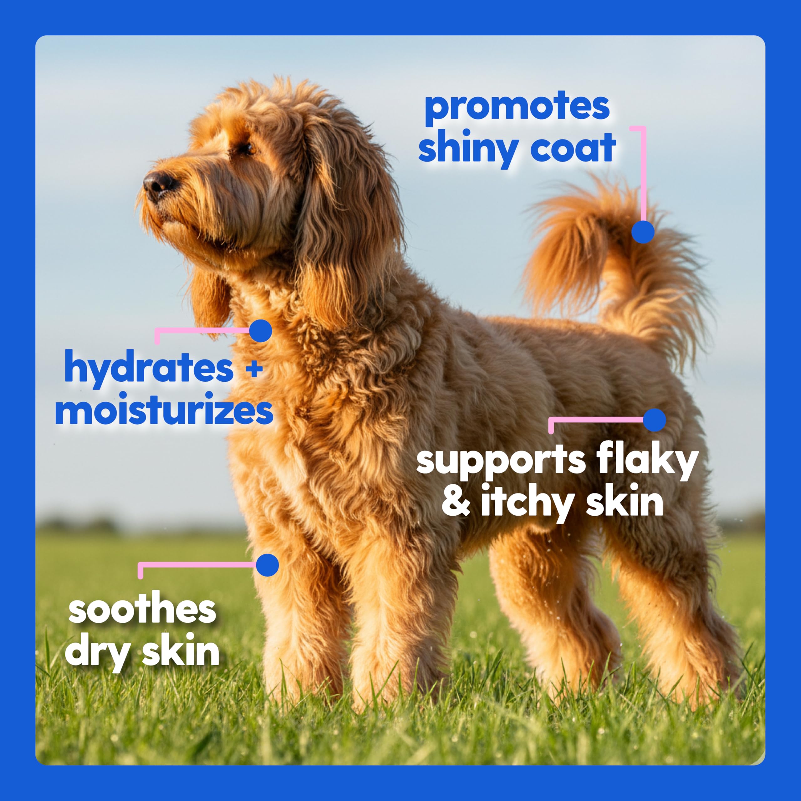 Taily Collagen vet-recommendation icon signals trusted pet health support