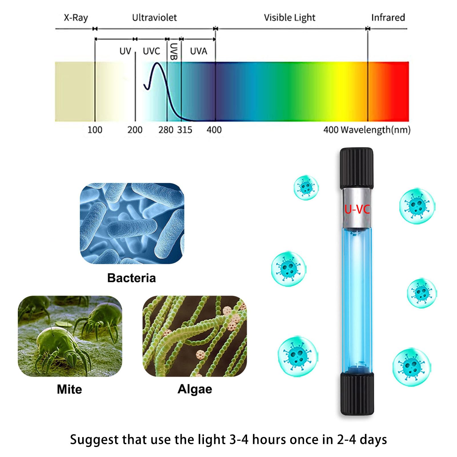 TAISHAN Aquarium Clean Light green water removal improves visibility.