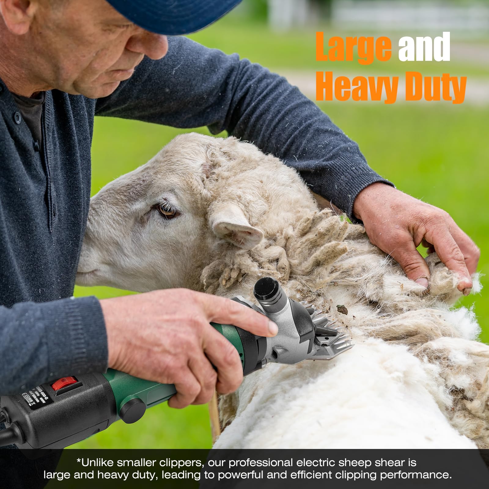 TAKEKIT Sheep Shears large dogs with thick coats in action.
