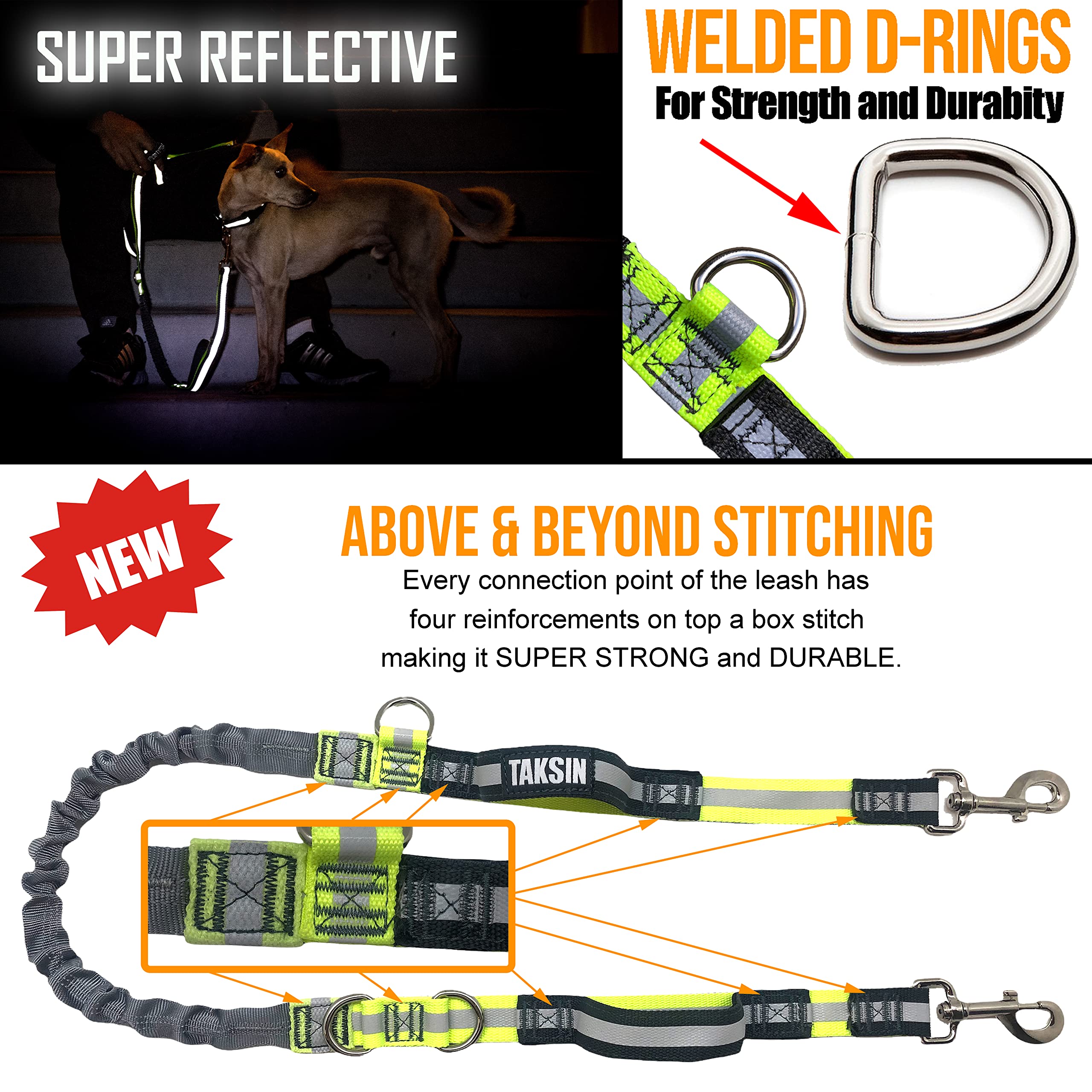TAKSIN reflective bungee leash highlight for visibility during night walks