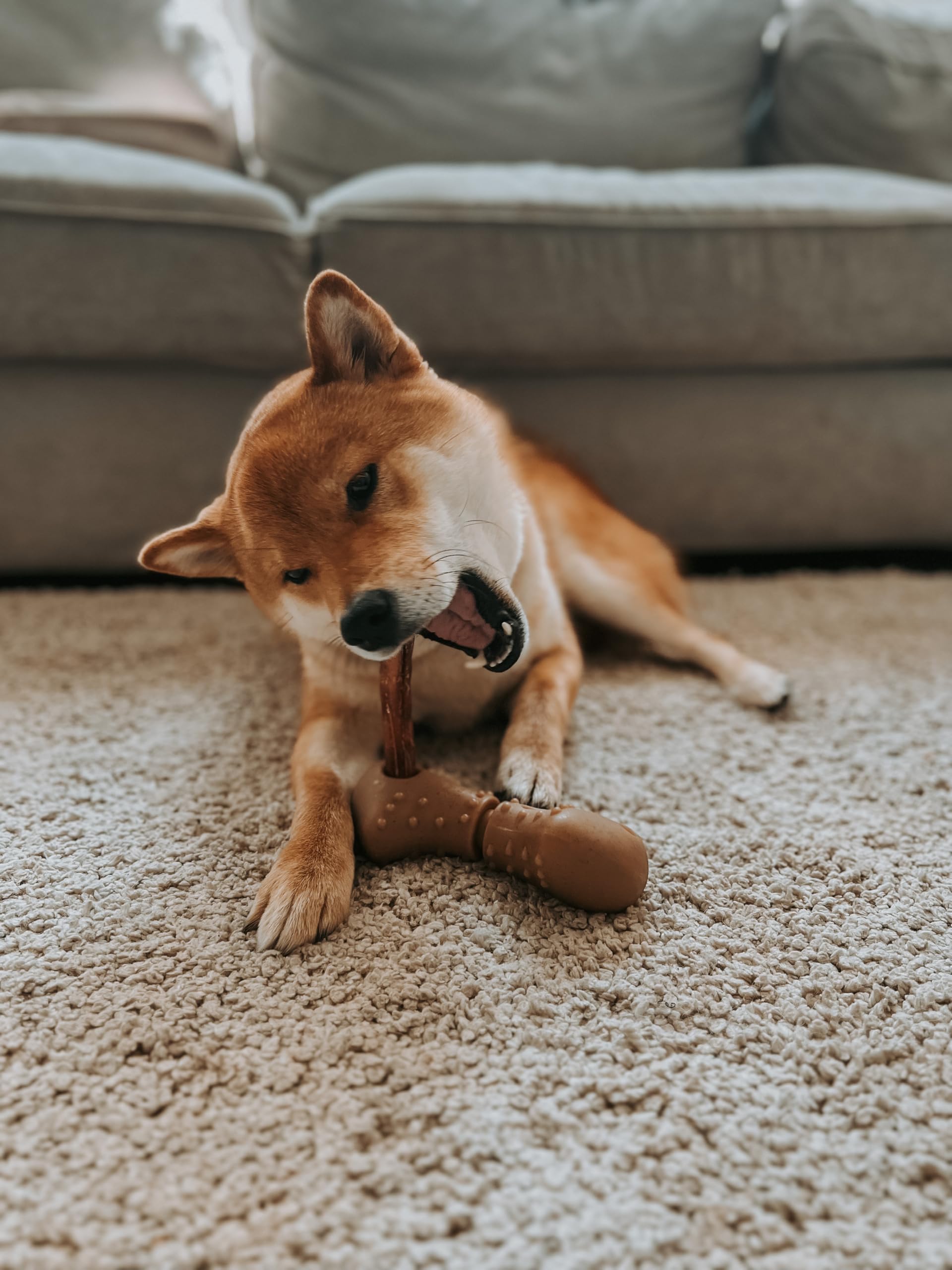 Tall Tails chew toy for dogs, ideal for heavy chewers